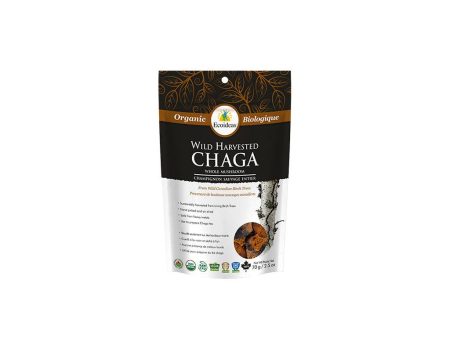 Chaga Entier Biologique Online now