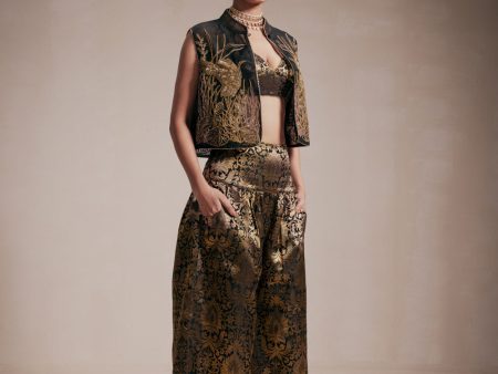 Gold Embroided Jacket & Pants Co-Ord Online