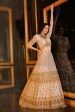 Alice  Silver Golden Sequin & Crsytal Emboidery Lehenga Set Fashion