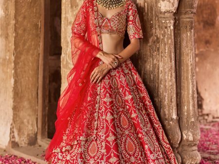 Agasthi  Red Raw Silk Zardosi Embroidered Double Layer Bridal Lehenga Set Online now