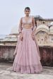 Alara Printed Mul Lehenga Set - Blush Online Sale