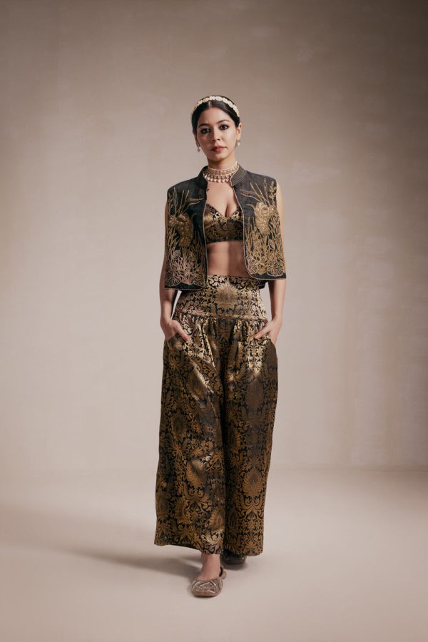 Gold Embroided Jacket & Pants Co-Ord Online