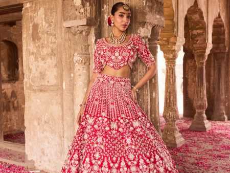 Naira  Red Raw Silk Hand Embroidered Lehenga Set Online Hot Sale