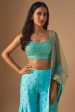 Sky Blue Embroidered Sharara Sari Set Cheap