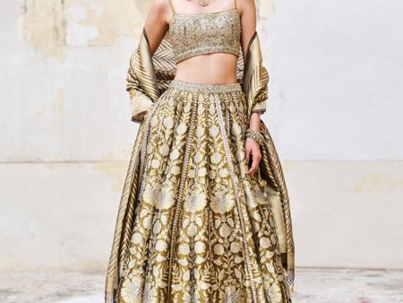 Adveka Handwoven Benarasi Silk Lehenga Set Olive For Discount