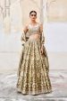 Adveka Handwoven Benarasi Silk Lehenga Set Olive For Discount