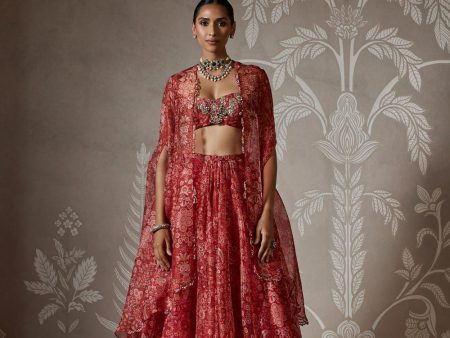 Ziba Lehenga Set For Cheap