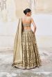 Adveka Handwoven Benarasi Silk Lehenga Set Olive For Discount