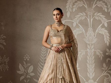 Arnika Lehenga Set For Discount