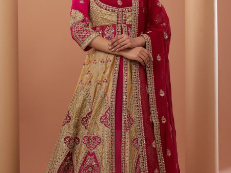 Red Georgette Hand Embroidered Anarkali And Dupatta Set on Sale