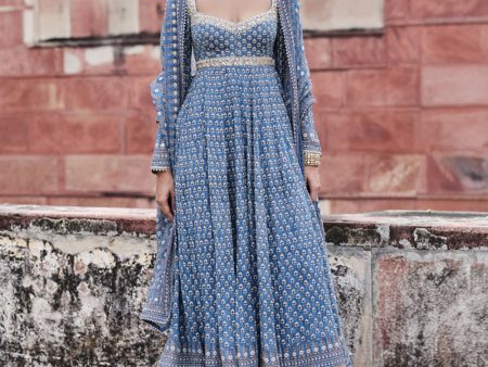 Abjini Printed Mul Anarkali Set - Blue Discount