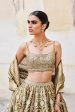 Adveka Handwoven Benarasi Silk Lehenga Set Olive For Discount