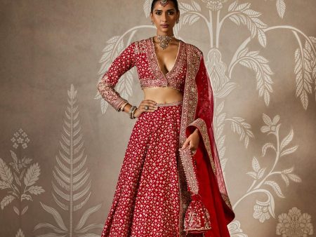 Zaraana Lehenga Set Fashion