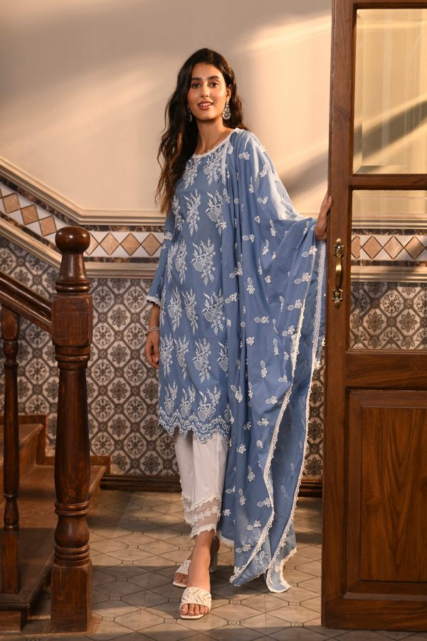 Anisa Kurta with Round Hem Organza PAnel Pants Online