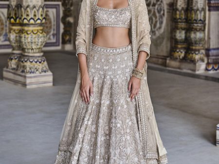 Arisa Embroidered Silk Lehenga Set Gold For Cheap