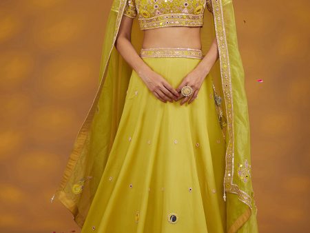 Yellow Georgette Hand Embroidered Lehanga Set Discount