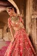 Agasthi  Red Raw Silk Zardosi Embroidered Double Layer Bridal Lehenga Set Online now