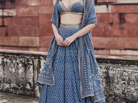 Abjini Printed Mul Lehenga Set - Blue on Sale