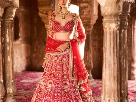 Ilakshi  Deep Red Zardosi Embroidery Bridal Lehenga Set Discount