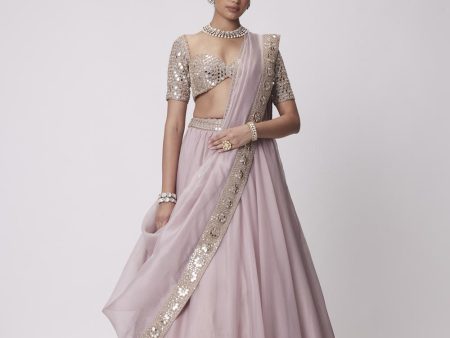 Ash Pink Flower Border Organza Lehenga Set Online now