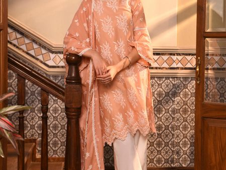 Anisa Kurta with Floral Lace Flared Pants Online now