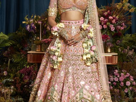 Alice - Baby Pink Royal Carriage Lehenga Set Cheap