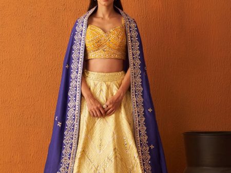 Yellow Raw Silk Lehnga Set Online Hot Sale