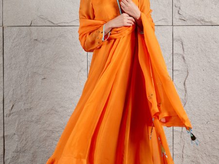 Tangerine Organza Anarkali Set Online Hot Sale