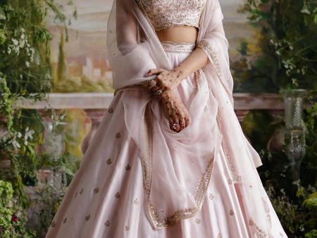 Baby Pink Lehenga Set Discount