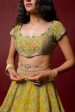 Aarya Lehenga Set Sale