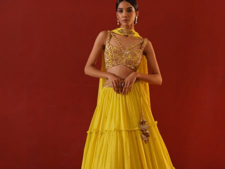 Yellow Georgette Lehenga Choli Set Supply