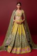 Aarya Lehenga Set Sale