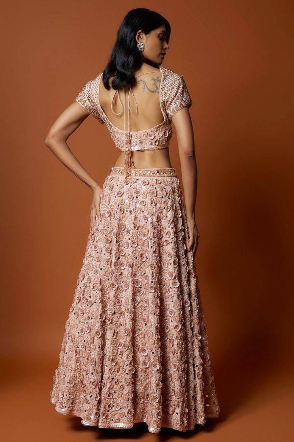 Baby Pink 3D Rose Embroidered Lehenga Set Cheap